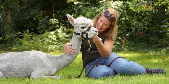 Tine van Wezel - Beroep - Alpaca's - DSC07594u75