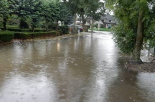 Voorspoedstraat staat blank