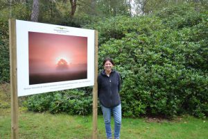 Stilte in Grenspark Kalmthoutse Heide in beeld: winnaars fotowedstrijd bekend