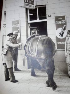 Er staat een paard ..... aan de toog2