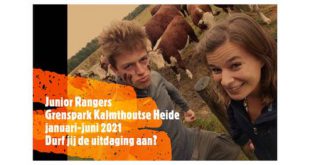 Junior Rangers in Grenspark Kalmthoutse Heide