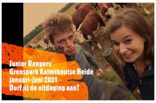 Junior Rangers in Grenspark Kalmthoutse Heide