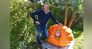 Patrick Vandoren wint de Howard Dill Award - Best looking Pumpkin - Belgisch kampioenschap Pompoenwegen - (c) Noordernieuws.be 2020 - HDB_2383u70