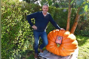 Patrick Vandoren wint de Howard Dill Award - Best looking Pumpkin - Belgisch kampioenschap Pompoenwegen - (c) Noordernieuws.be 2020 - HDB_2383u70