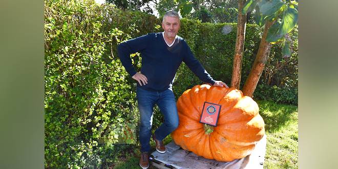 Patrick Vandoren wint de Howard Dill Award - Best looking Pumpkin - Belgisch kampioenschap Pompoenwegen - (c) Noordernieuws.be 2020 - HDB_2383u70