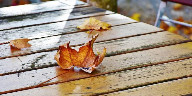 November dit kan je nog doen in de tuin