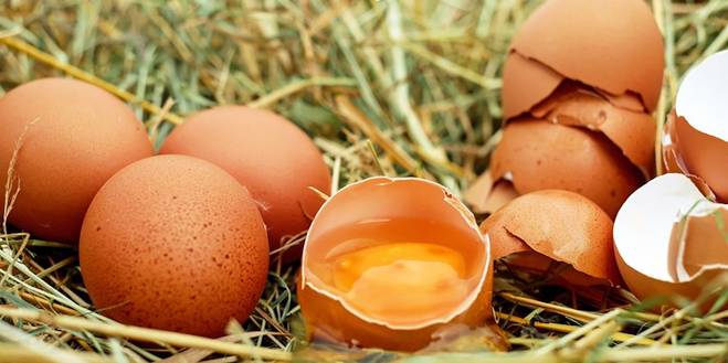 Eierschalen gooi ze niet meer weg, gebruik ze in je tuin!