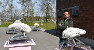Kunstenaar Jorg Van Daele - Culturele tentoonstelling - (c) Noordernieuws.be 2021 - HDB_3470q