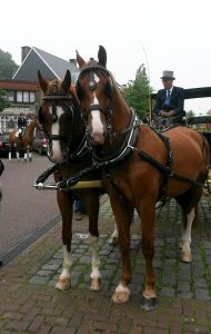 Gerard Rijper - Paardenmenner - Paarden met koets op Heuvelplein Essen