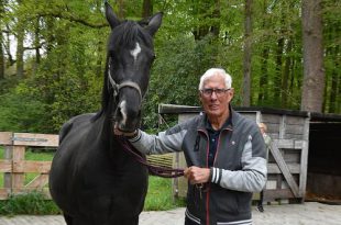 Gerard Rijper - Paardenmenner