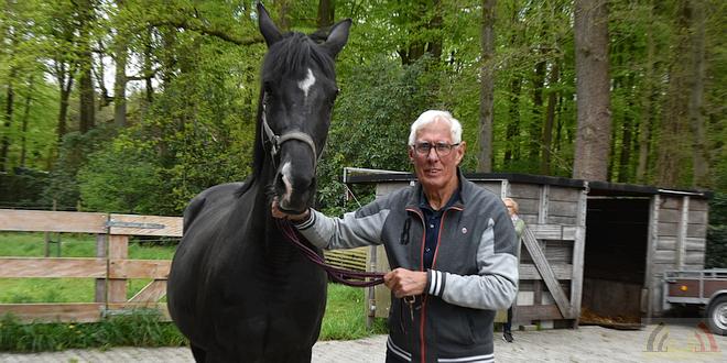 Gerard Rijper - Paardenmenner