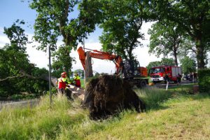 Kort maar heftig noodweer rukt bomen uit de grond3