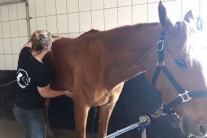 Trots op haar toekomstige beroep Osteopathie voor dieren. Jelke Van den Broek