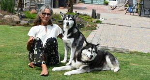 Christel Nelen - Hobby honden - Siberische Husky en Alaskan Malamute