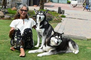 Christel Nelen - Hobby honden - Siberische Husky en Alaskan Malamute