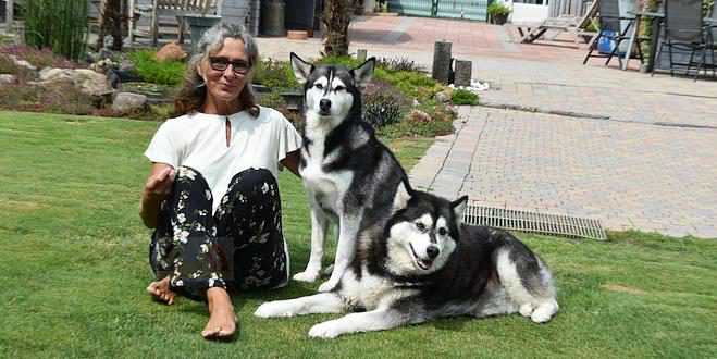 Christel Nelen - Hobby honden - Siberische Husky en Alaskan Malamute