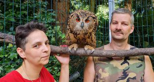 Heidi Brouwers, David en Alina Jaspers - Uil