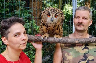 Heidi Brouwers, David en Alina Jaspers - Uil