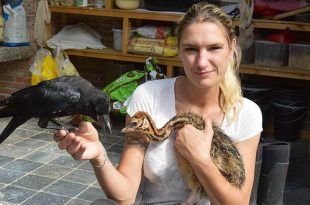 Wendy Adriaens met Struisvogel en Kraai - (c) Noordernieuws.be 2021 - HDB_4182s75