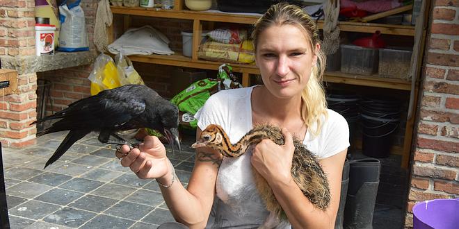 Wendy Adriaens met Struisvogel en Kraai - (c) Noordernieuws.be 2021 - HDB_4182s75