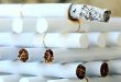 Productie namaaksigaretten aangetroffen na melding brand Wuustwezel
