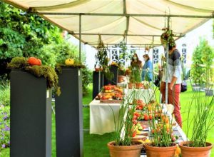 Tomatenfestival presenteert eigen praline