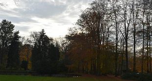 Gemeente Essen, Bosgroep en Stichting Kempens Landschap hebben oor voor bezorgdheden