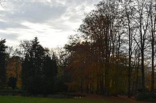 Gemeente Essen, Bosgroep en Stichting Kempens Landschap hebben oor voor bezorgdheden