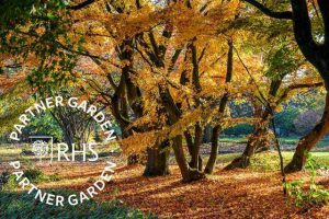 Arboretum Kalmthout winnaar RHS Overseas Partner Garden of the Year2