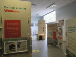 Minister Demir belooft uitvoering soortenbeschermingsprogramma voor de otter4