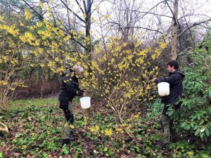 Plantendag verwelkomt de beste kwekerijen