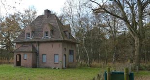 Kunst uit een oude linde
