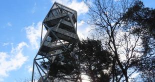 Nieuwe brandtoren in de Kalmthoutse Heide officieel geopend3