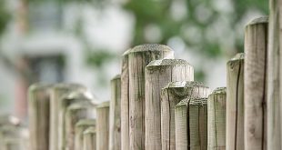 Moet je meebetalen voor de tuinafsluiting van je buur?