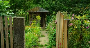 Vijf tips voor een gezonde tuin