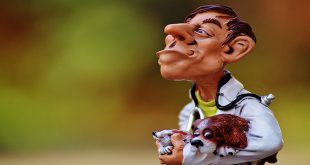 Dierenarts
