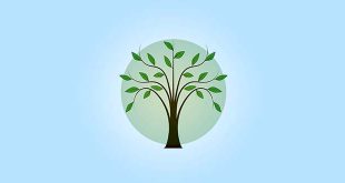 Kapellenaars planten bomen