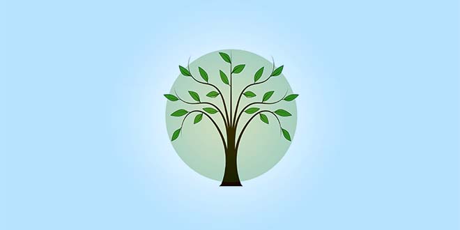 Kapellenaars planten bomen