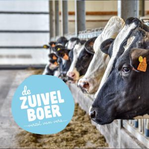 De Zuivelboer schenkt 1000 bollen gratis ijs3
