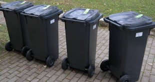 IGEAN – ophalingen starten deze week om 6 uur ‘s ochtends