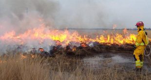 Vanaf 11/08 code ROOD in natuurgebied - hoog brandgevaar, wees voorzichtig!