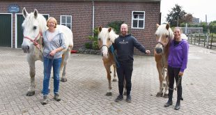 Eefje Borsboom Stichting