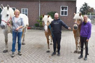 Eefje Borsboom Stichting