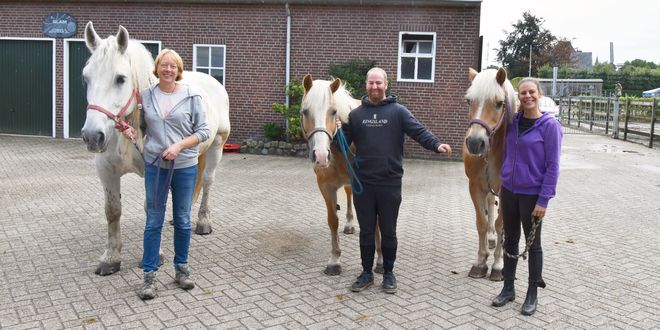 Eefje Borsboom Stichting