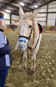 Eefje Borsboom Stichting - Urane