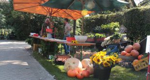 Oogstfeest op Brasschaatse kinderboerderij