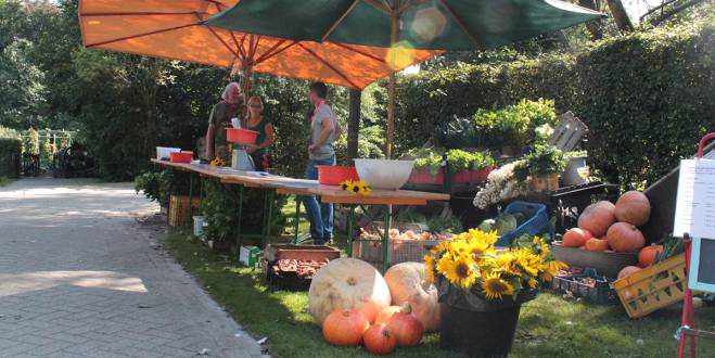 Oogstfeest op Brasschaatse kinderboerderij