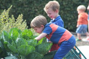 Oogstfeest op Brasschaatse kinderboerderij2
