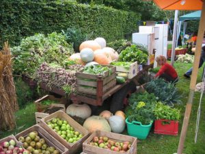 Oogstfeest op Brasschaatse kinderboerderij3