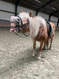 Trots op mijn stichting. Eefje Borsboom vertelt!